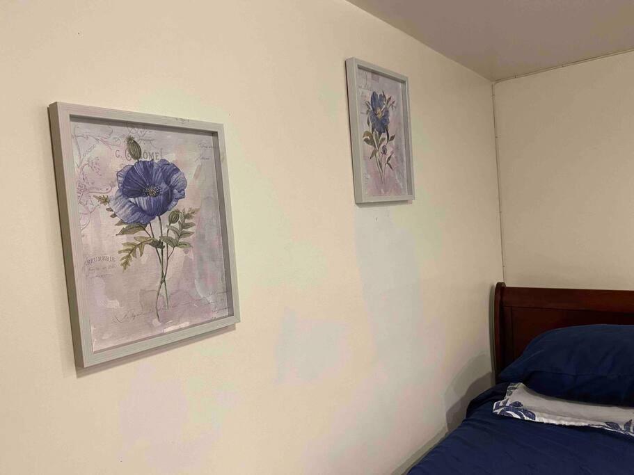 Treasure In Queens Apartment New York City Exterior photo